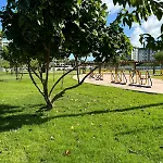 Bela Providencia
